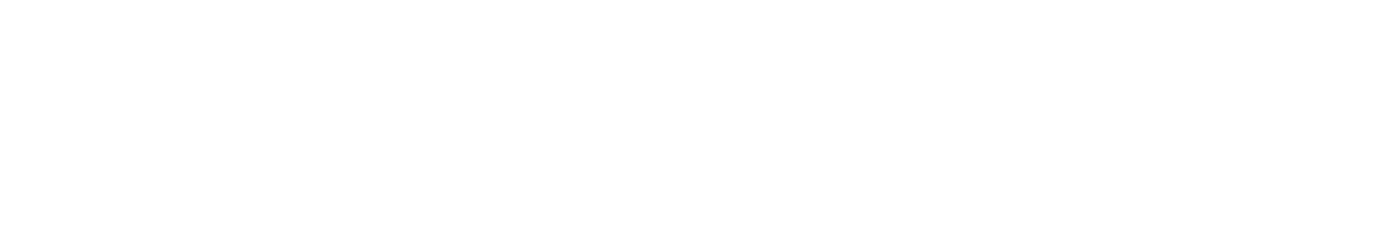 African Leadership University